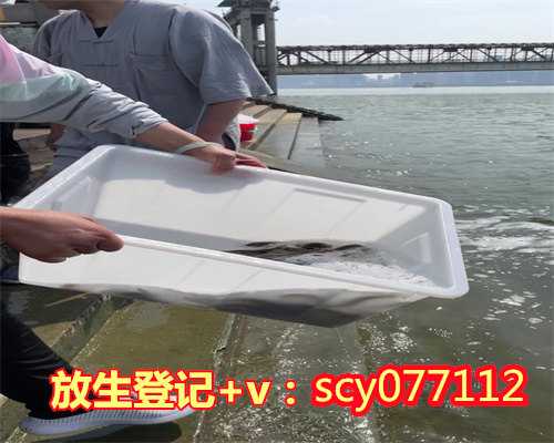 惠州不能放生的鱼,惠州丽水放生鲤鱼在哪里,惠州所有放生群