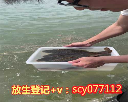 个人放生视频温州,温州周边哪里最适合放生草鱼【温州哪个放生组织最好】