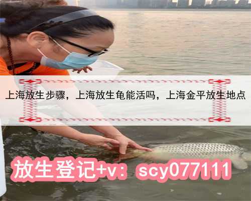上海放生步骤，上海放生龟能活吗，上海金平放生地点