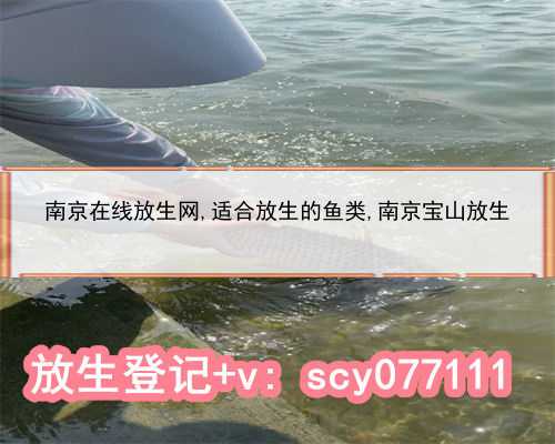 南京在线放生网,适合放生的鱼类,南京宝山放生
